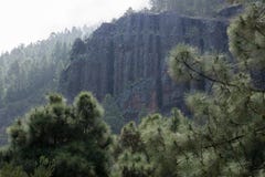 Скала в лесе Тенерифе стоковое фото Скала в лесе Тенерифе стоковое фото