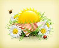 Скатерть и солнце позади, трава, цветки стоцвета, ladybug и быть иллюстрация штока Скатерть и солнце позади, трава, цветки стоцвета, ladybug и быть иллюстрация штока