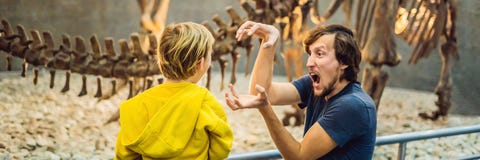 Скелет динозавра папы и мальчика наблюдая в ЗНАМЕНИ музея, ДЛИННОМ ФОРМАТЕ стоковые изображения rf Скелет динозавра папы и мальчика наблюдая в ЗНАМЕНИ музея, ДЛИННОМ ФОРМАТЕ стоковые изображения rf