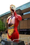 Скульптура Damien Hirst в Лондон стоковая фотография rf Скульптура Damien Hirst в Лондон стоковая фотография rf