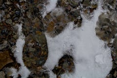 Следы ноги в снеге вдоль высокогорного следа каньона утеса/Provo, Юты стоковое фото rf Следы ноги в снеге вдоль высокогорного следа каньона утеса/Provo, Юты стоковое фото rf