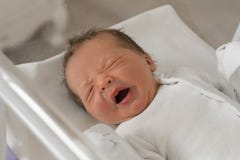 Смешной плача newborn ребенок в родильном доме стоковое фото rf Смешной плача newborn ребенок в родильном доме стоковое фото rf