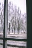 Смотреть вне из окна стоковые изображения rf Смотреть вне из окна стоковые изображения rf