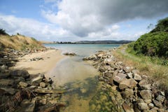 Смотреть к реке Catlins дает славную природу стоковые фотографии rf Смотреть к реке Catlins дает славную природу стоковые фотографии rf