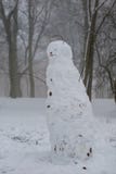 Снеговик зимы сделанный в парке города Снеговик стоя в снеге стоковые фото Снеговик зимы сделанный в парке города Снеговик стоя в снеге стоковые фото