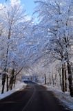 снежок дороги стоковое изображение снежок дороги стоковое изображение