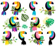 Собрание вектора яркого и красочного Toucans и тропических листьев иллюстрация штока Собрание вектора яркого и красочного Toucans и тропических листьев иллюстрация штока