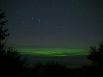 Созвездие Большой Медведицы (майора Ursa), деревья и света рассвета приполюсные стоковые изображения rf Созвездие Большой Медведицы (майора Ursa), деревья и света рассвета приполюсные стоковые изображения rf