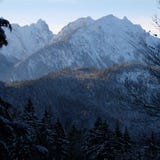 Сосновый лес Snowy гористый высокогорный стоковые изображения Сосновый лес Snowy гористый высокогорный стоковые изображения