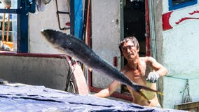 Состыкованная рыбацкими лодками гавань Chenggong удя извлекает липкую жидкость рыбной ловли Стоковое фото RF Состыкованная рыбацкими лодками гавань Chenggong удя извлекает липкую жидкость рыбной ловли Стоковое фото RF
