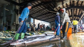 Состыкованная рыбацкими лодками гавань Chenggong удя извлекает липкую жидкость рыбной ловли Стоковая Фотография Состыкованная рыбацкими лодками гавань Chenggong удя извлекает липкую жидкость рыбной ловли Стоковая Фотография