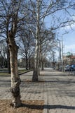 СОФИЯ, БОЛГАРИЯ - 7-ОЕ МАРТА 2019: Типичное здание в центре города Софии, Болгарии стоковые изображения rf СОФИЯ, БОЛГАРИЯ - 7-ОЕ МАРТА 2019: Типичное здание в центре города Софии, Болгарии стоковые изображения rf