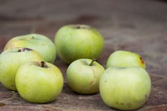 Сочное и очень вкусное Яблоко лежа на таблице, плодоовощ на таблице Яблоки на белой предпосылке ложь яблок на таблице стоковая фотография rf Сочное и очень вкусное Яблоко лежа на таблице, плодоовощ на таблице Яблоки на белой предпосылке ложь яблок на таблице стоковая фотография rf