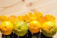 Сочные желтые и зеленые tangerines и листья дерева гинкго на свежем сырцовом деревянном столе стоковые изображения Сочные желтые и зеленые tangerines и листья дерева гинкго на свежем сырцовом деревянном столе стоковые изображения