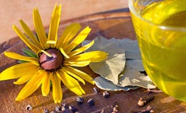Специи, черный перец, allspice, лист залива, цветок, желтый цвет, оливка Стоковые Изображения Специи, черный перец, allspice, лист залива, цветок, желтый цвет, оливка Стоковые Изображения