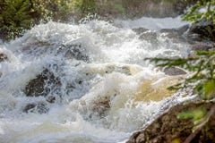 Спеша водопад устанавливая накаляя падения росы на небольшой сосне в национальном парке скалистой горы стоковое фото Спеша водопад устанавливая накаляя падения росы на небольшой сосне в национальном парке скалистой горы стоковое фото