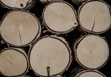 Спиленные журналы, хоботы березы Спиленные и штабелированные швырок и журналы стоковое фото rf Спиленные журналы, хоботы березы Спиленные и штабелированные швырок и журналы стоковое фото rf