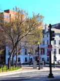 Спокойный угол на пересечении, новые листья города на деревьях стоковое изображение Спокойный угол на пересечении, новые листья города на деревьях стоковое изображение
