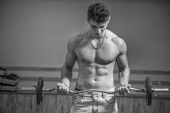 Спорт укомплектовывают личным составом в спортзале стоковое фото Спорт укомплектовывают личным составом в спортзале стоковое фото