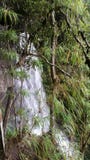 Спрятанный водопад стоковые изображения rf Спрятанный водопад стоковые изображения rf