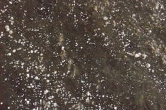 Сталактиты от соли на потолке пещеры стоковые фото Сталактиты от соли на потолке пещеры стоковые фото