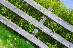 Старая деревянная серая загородка покрывая зеленый куст кустарника в деревне стороны страны Раскосное фото, хорошая предпосылка стоковые изображения rf Старая деревянная серая загородка покрывая зеленый куст кустарника в деревне стороны страны Раскосное фото, хорошая предпосылка стоковые изображения rf