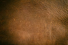 Старая поцарапанная кожа стоковая фотография rf Старая поцарапанная кожа стоковая фотография rf