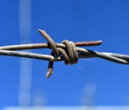 Старая ржавая колючая проволока, конец вверх Электризуемый проволочный забор с колючей проволокой стоковая фотография rf Старая ржавая колючая проволока, конец вверх Электризуемый проволочный забор с колючей проволокой стоковая фотография rf