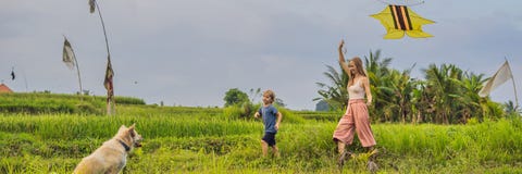 Старт мамы и сына змей в поле риса в Ubud, ЗНАМЕНИ острова Бали, Индонезии, ДЛИННОМ ФОРМАТЕ стоковая фотография rf Старт мамы и сына змей в поле риса в Ubud, ЗНАМЕНИ острова Бали, Индонезии, ДЛИННОМ ФОРМАТЕ стоковая фотография rf
