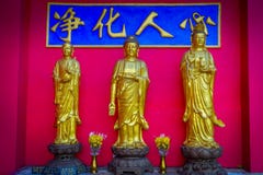 Статуи на 10 тысяч монастыре Buddhas в олове Sha, Гонконге, Китае стоковые фото Статуи на 10 тысяч монастыре Buddhas в олове Sha, Гонконге, Китае стоковые фото