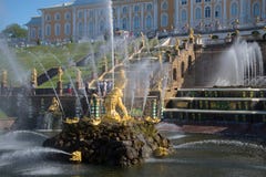 Статуя Samson в шаре грандиозного каскада, солнечный летний день peterhof стоковая фотография Статуя Samson в шаре грандиозного каскада, солнечный летний день peterhof стоковая фотография
