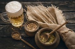 Стекло пенистого пива, солода и хмеля стоковые изображения Стекло пенистого пива, солода и хмеля стоковые изображения