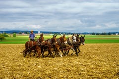 Страна Амишей, PA стоковое фото Страна Амишей, PA стоковое фото