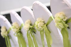 стулы wedding стулы wedding
