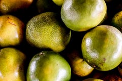 суккулентные и свежие апельсины стоковая фотография суккулентные и свежие апельсины стоковая фотография