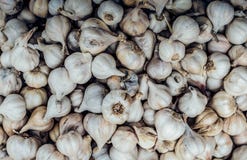 Сухой белый чеснок в куче стоковое фото Сухой белый чеснок в куче стоковое фото