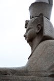 Сфинкс от Египта на обваловке гранита реки Neva стоковые фото Сфинкс от Египта на обваловке гранита реки Neva стоковые фото