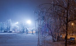 Сцена ночи парка зимы Стоковые Фото Сцена ночи парка зимы Стоковые Фото