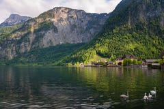 Сценарный взгляд художественной открытки традиционных старых деревянных домов в известном горном селе Hallstatt на озере Hallstat Стоковое Фото Сценарный взгляд художественной открытки традиционных старых деревянных домов в известном горном селе Hallstatt на озере Hallstat Стоковое Фото