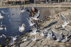 Счастливая 83 - летняя дама с птицами на порте озера Ohrid, Македонии стоковая фотография Счастливая 83 - летняя дама с птицами на порте озера Ohrid, Македонии стоковая фотография