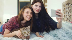 2 счастливых друз женщин лежа в кровати и делая selfie с котом и имеют потеху на кровати дома стоковая фотография 2 счастливых друз женщин лежа в кровати и делая selfie с котом и имеют потеху на кровати дома стоковая фотография