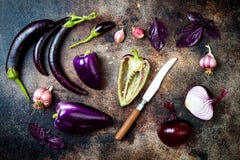 Сырцовые фиолетовые сезонные овощи над деревенской предпосылкой Взгляд сверху, плоское положение стоковое изображение rf Сырцовые фиолетовые сезонные овощи над деревенской предпосылкой Взгляд сверху, плоское положение стоковое изображение rf