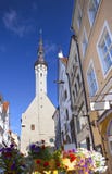 Таллин, Эстония, улица старого города с яркими домами и шипом ратуши стоковое фото Таллин, Эстония, улица старого города с яркими домами и шипом ратуши стоковое фото