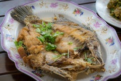 Тайская кухня, глубокая зажаренная рыба морского окуня с соусом рыб стоковое изображение rf Тайская кухня, глубокая зажаренная рыба морского окуня с соусом рыб стоковое изображение rf