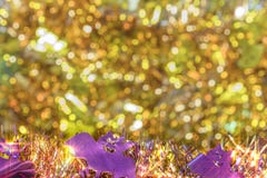 Текстура предпосылки вполне малого золотого bokeh с deco гирлянд стоковые фотографии rf Текстура предпосылки вполне малого золотого bokeh с deco гирлянд стоковые фотографии rf