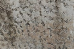 Текстурируйте мраморную грязную предпосылку Брауна на открытом воздухе стоковые фото Текстурируйте мраморную грязную предпосылку Брауна на открытом воздухе стоковые фото