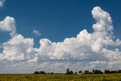Темносинее небо с яркими тучными облаками, Bond County лета, Иллинойс стоковое изображение Темносинее небо с яркими тучными облаками, Bond County лета, Иллинойс стоковое изображение