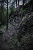 Темные валуны предусматриванные во мхе на наклоне в северную древесину стоковое фото Темные валуны предусматриванные во мхе на наклоне в северную древесину стоковое фото