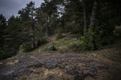 Темные древесины против бурных небес с зелеными кустами и деревьями стоковые изображения Темные древесины против бурных небес с зелеными кустами и деревьями стоковые изображения