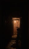 Темный путь просвещенный одиночной лампой стоковая фотография Темный путь просвещенный одиночной лампой стоковая фотография